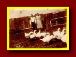 Kliknij aby powiększyć
